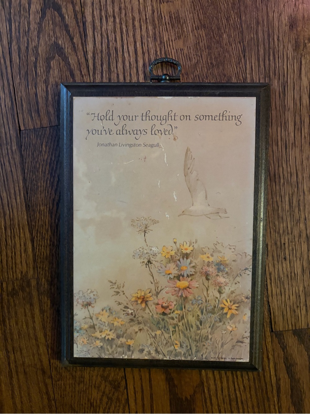 Vintage Wooden Wall Hanging Inspirational Quote Meadow Seagull